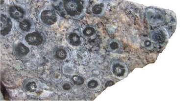 ORBICULAR GRANITE - NOGU.studio