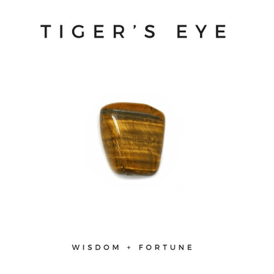 TIGERS EYE - NOGU.studio