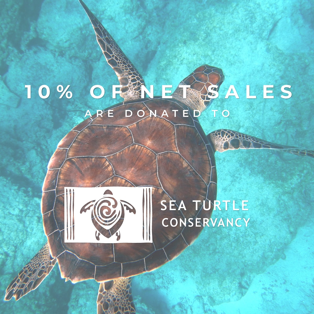 NOGU X SEA TURTLE CONSERVANCY