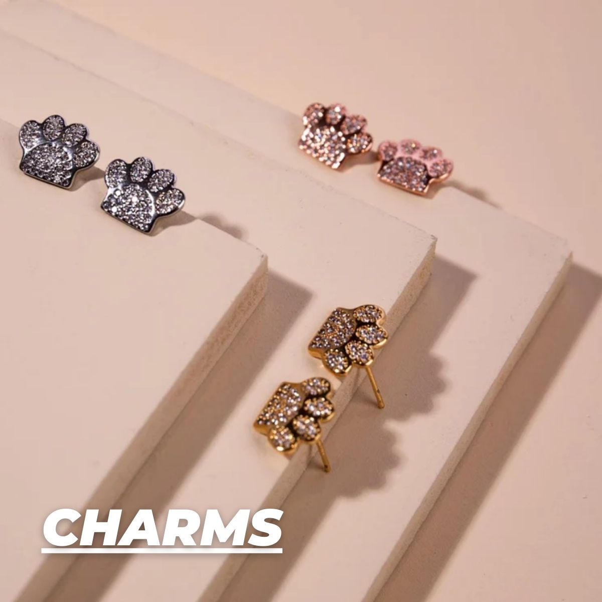 CHARM EARRINGS
