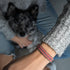 Corail | Argent | Bracelet Amici