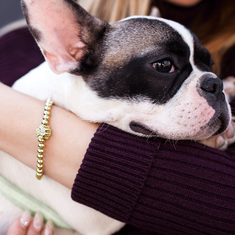 patte | Or 18 carats | Impression de chiot en cristal