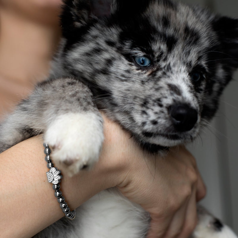patte | Argent | Impression de chiot en cristal