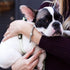patte | Argent | Impression de chiot en cristal