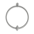 Acier inoxydable plaqué argent