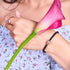 Tortue | Or rose 18 carats et bronze à canon | Noir | Tortue de mer de cristal | Bracelet Charmballa en macramé