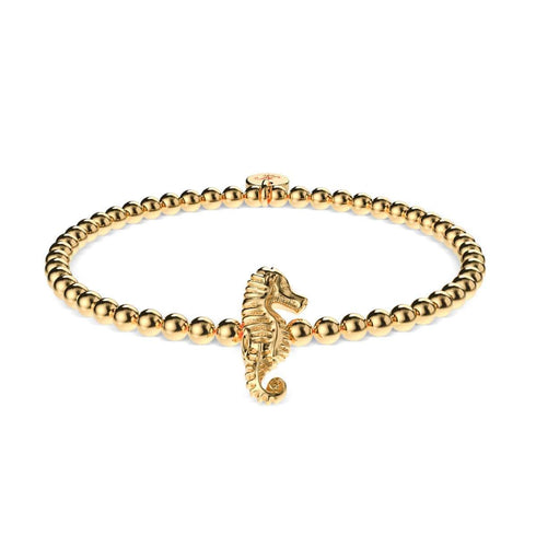 Récif | Or 18 carats | Bracelet à breloques hippocampe