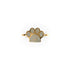 Paw | Gold Vermeil | CZ Diamond Pup Print Ring