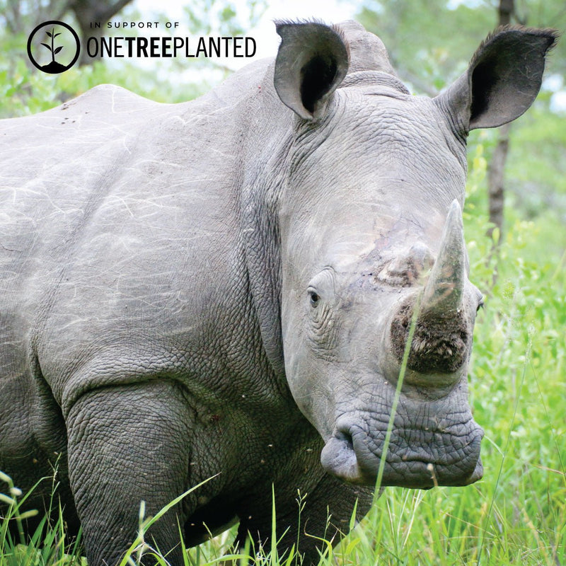 White Rhino Links | Original Kismet Bracelet | White x Silver