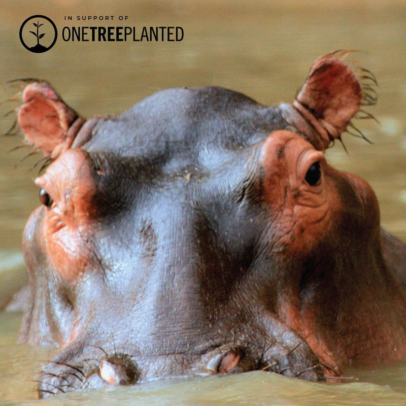 Liens Hippopotame | Bracelet Mini Kismet | Fushia x Argent