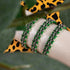Liens de grenouille d'arbre | Bracelet Mini Kismet | Vert x Argent