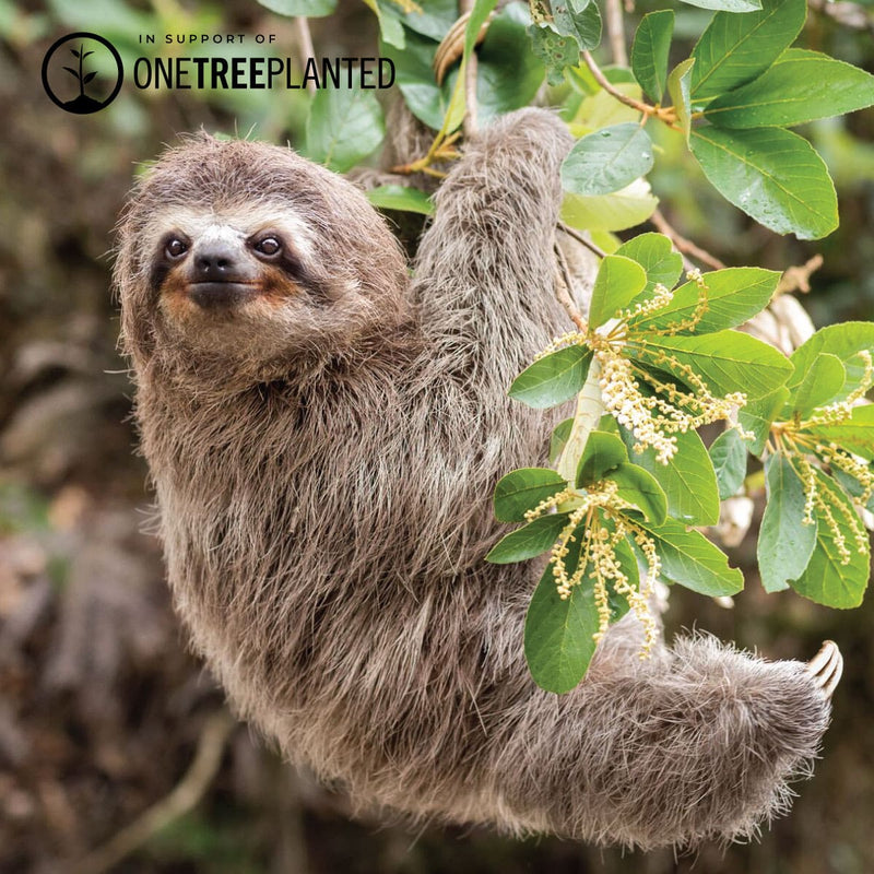 Liens arbre paresseux | Bracelet Kismet de luxe | Blanc x or rose