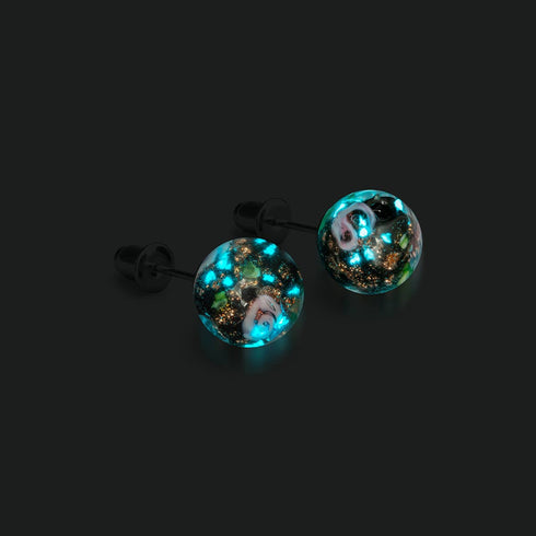 Rose enchantée | Argent sterling 925 | Boucles d'oreilles à tige en verre Firefly 